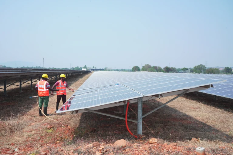 Nadakotai & Veebee 4